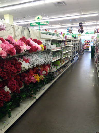 Dollar Store «Dollar Tree», reviews and photos, 2701 West Ave A, Rice Lake, WI 54868, USA