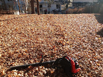 Matt's Meticulous Landscaping - Photo 6 - Car repair in New Haven, CT, New Haven