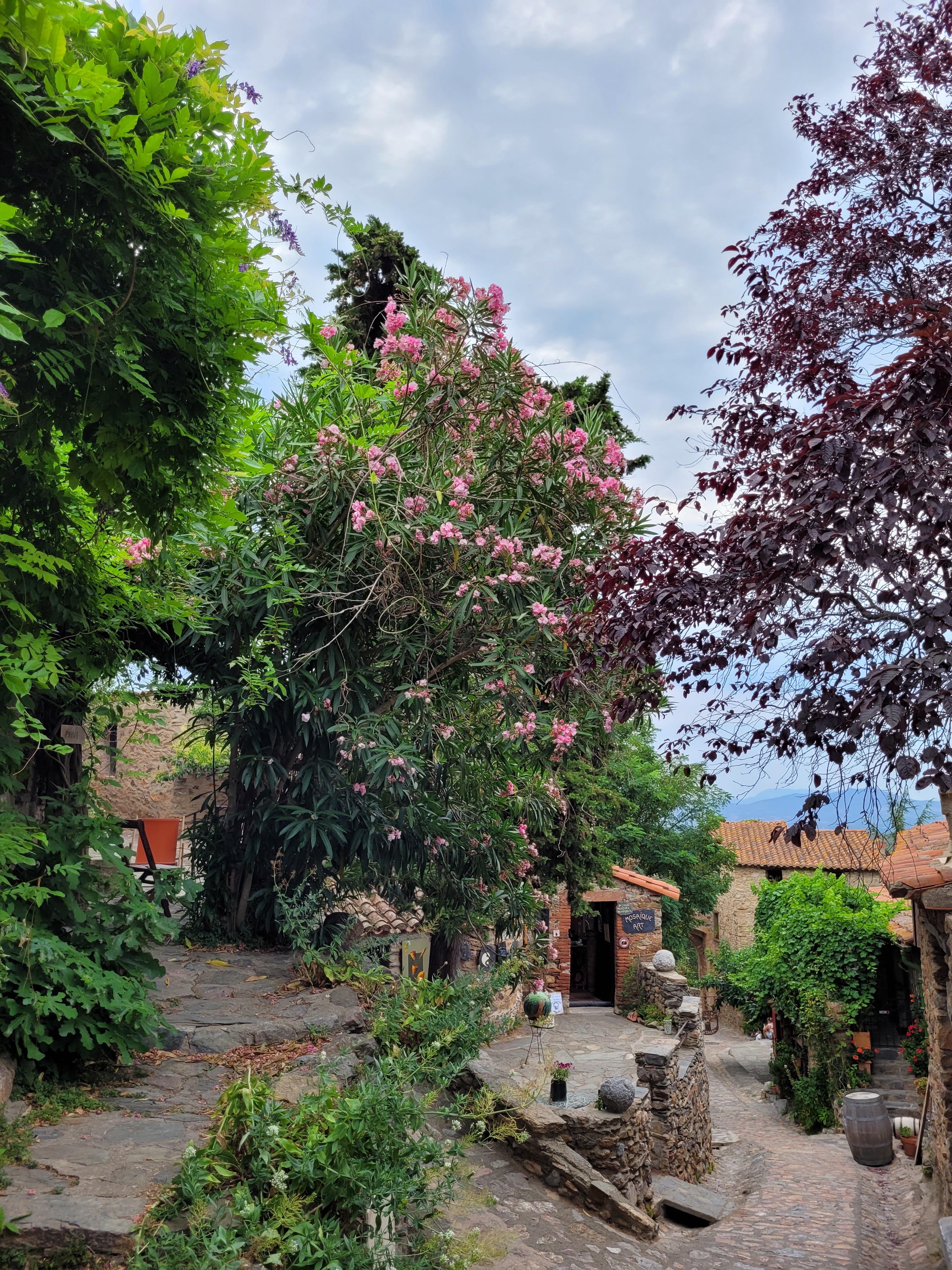 Photo n° 1 de l'avis de Yvon.a fait le 27/07/2021 à 17:16