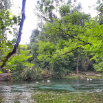 Photo n°4 de l'avis de Chiara.a fait le 10/06/2021 à 17:33 sur le  Parco del Grassano à San Salvatore Telesino