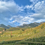 Photo n°11 de l'avis de Christin.. fait le 17/09/2020 à 08:12 sur le  SEELEITEN - Lake Spa Hotel à Kaltern an der Weinstraße