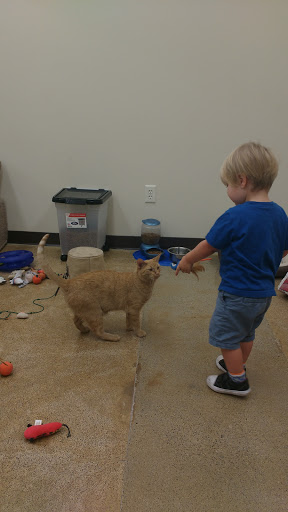 Pet Supply Store «Pet Supplies Plus», reviews and photos, 345 Willow Bend, Crystal, MN 55428, USA