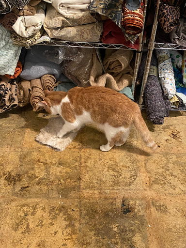 Art Supply Store «Texas Art Asylum», reviews and photos, 1719 Live Oak St, Houston, TX 77003, USA