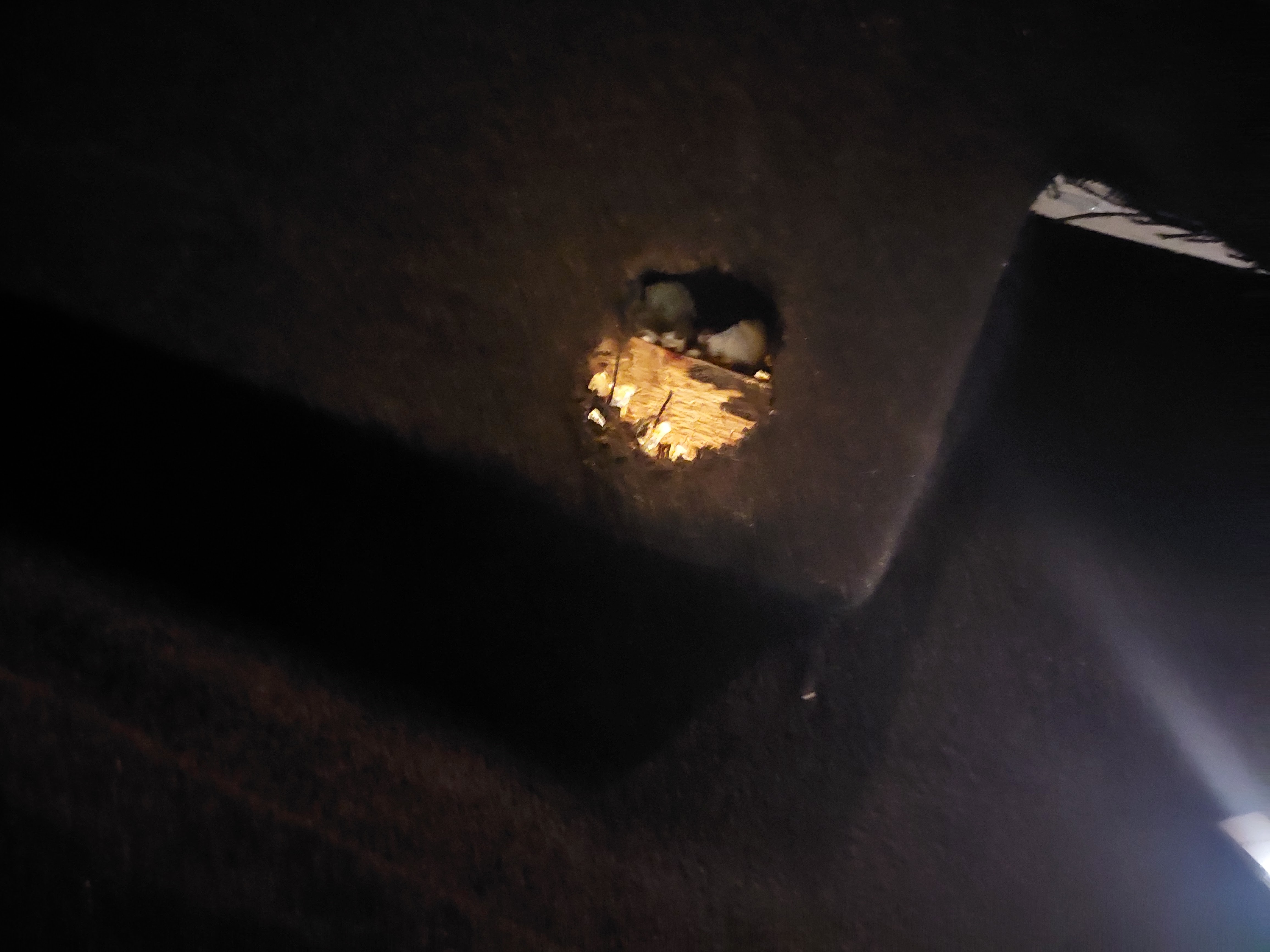 Photo n° 1 de l'avis de chesc.r fait le 13/08/2023 à 22:16