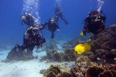 Diving Forever - Deutsche Tauchschule in Hurghada - Cmas - Padi - Ssi - I.a.c. www.divingforever.com