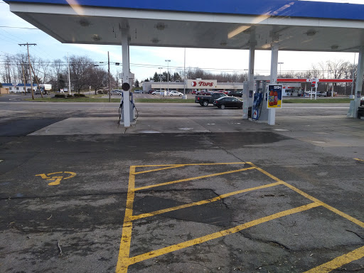Supermarket «Tops Friendly Markets», reviews and photos, 3949 Lockport Olcott Rd, Lockport, NY 14094, USA
