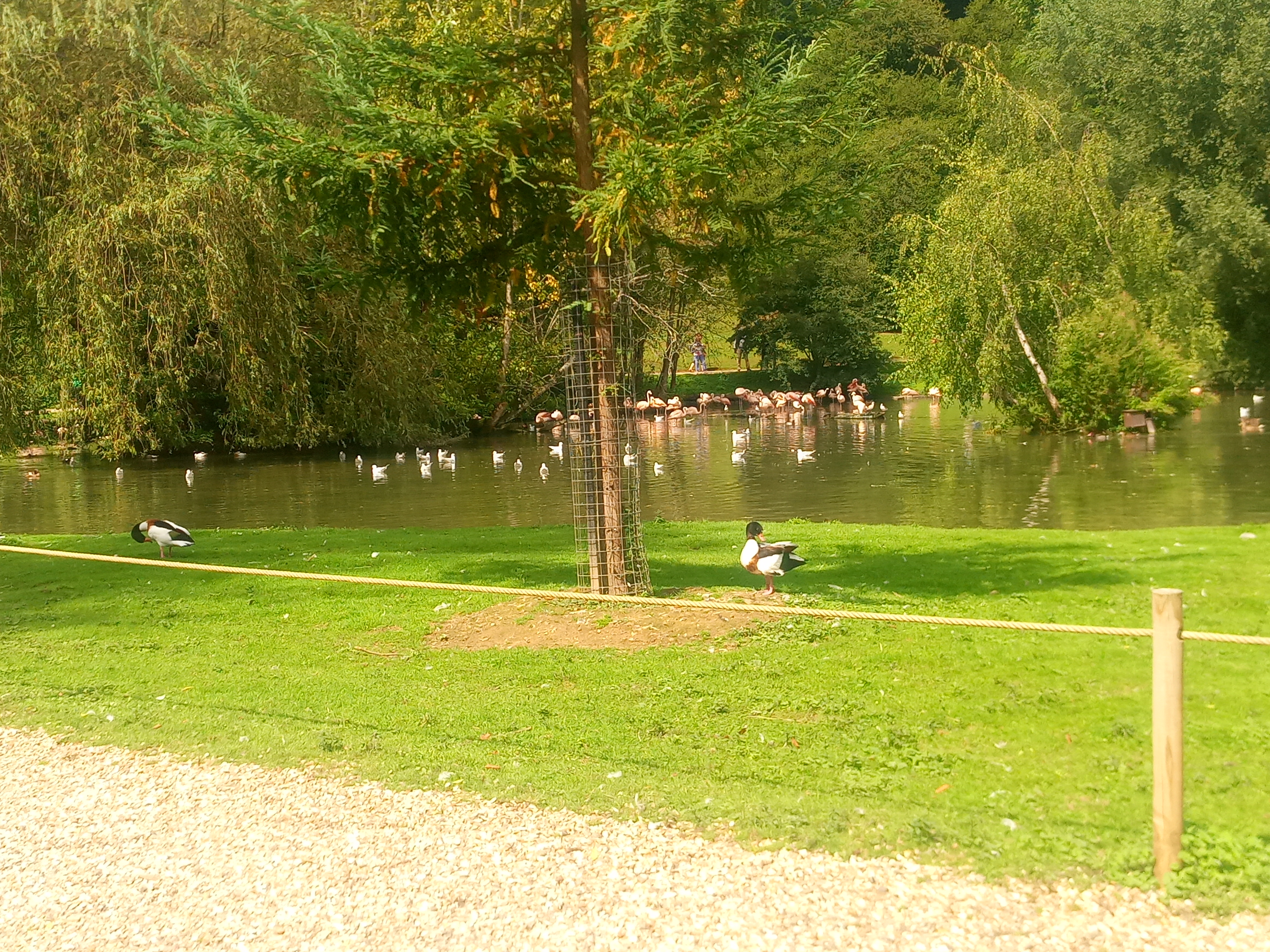 Photo n° 6 de l'avis de guillaume.e fait le 20/08/2020 à 14:57
