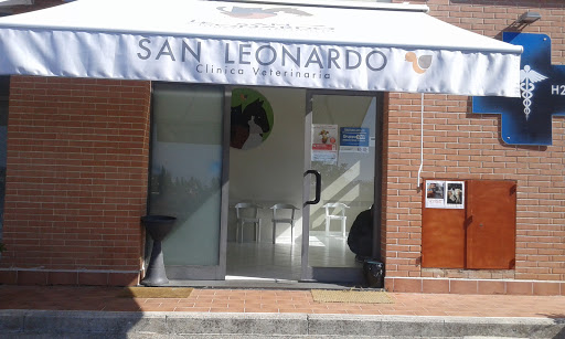 Pensioni per cani e dog hotel a Clinica Veterinaria S. Leonardo