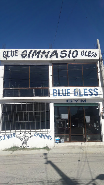 Blue Bless - Ing Andrés Manning Valenzuela, Forjadores de Pachuca, 42083 Fraccionamientos del Sur, Hgo., Mexico