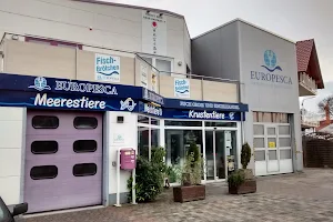 Europesca Fisch Groß und Einzelhandel image