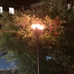 Photo n°5 de l'avis de Jon.o fait le 22/10/2020 à 09:05 sur le  Ling Bao à Brühl