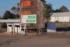 El Jalapeño Mexican Restaurant image