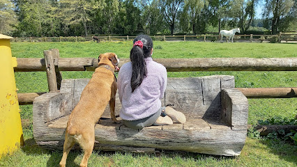 Clínica Veterinaria Metrenco, Temuco, La Araucanía