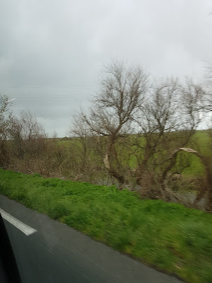 Club Canin Luçonnais à Luçon