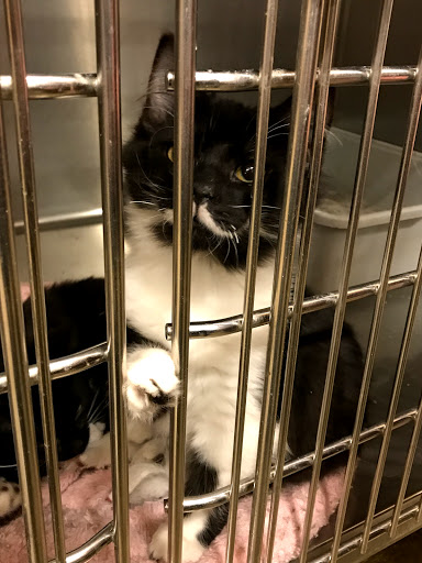 Pet Supply Store «PetSmart», reviews and photos, 5810 Antioch Rd, Merriam, KS 66202, USA