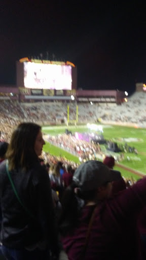 Stadium «Bobby Bowden Field at Doak Campbell Stadium», reviews and photos, 403 Stadium Dr, Tallahassee, FL 32304, USA