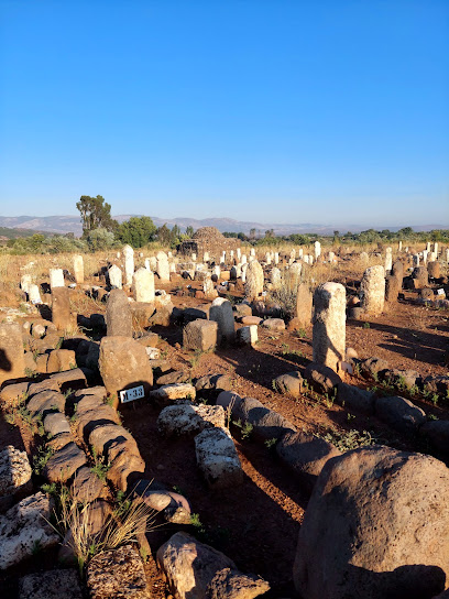 Aktepe Türkmen Mezarlığı