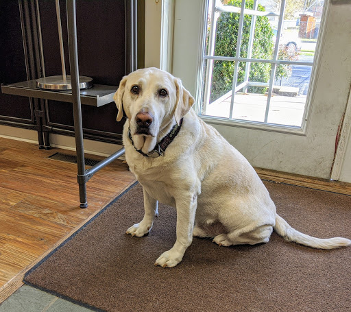 Bicycle Store «World Cup Ski & Cycle», reviews and photos, 3804 Gettysburg Rd, Camp Hill, PA 17011, USA