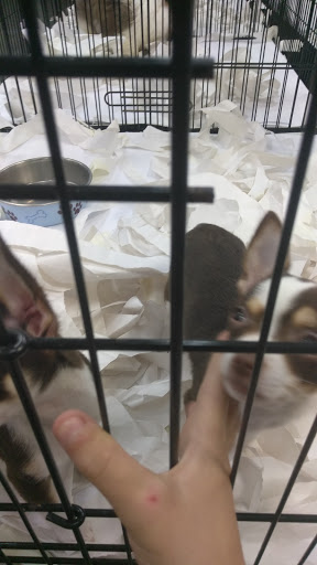 Pet Supply Store «Our Pet World», reviews and photos, 380 Semoran Commerce Pl, Apopka, FL 32703, USA