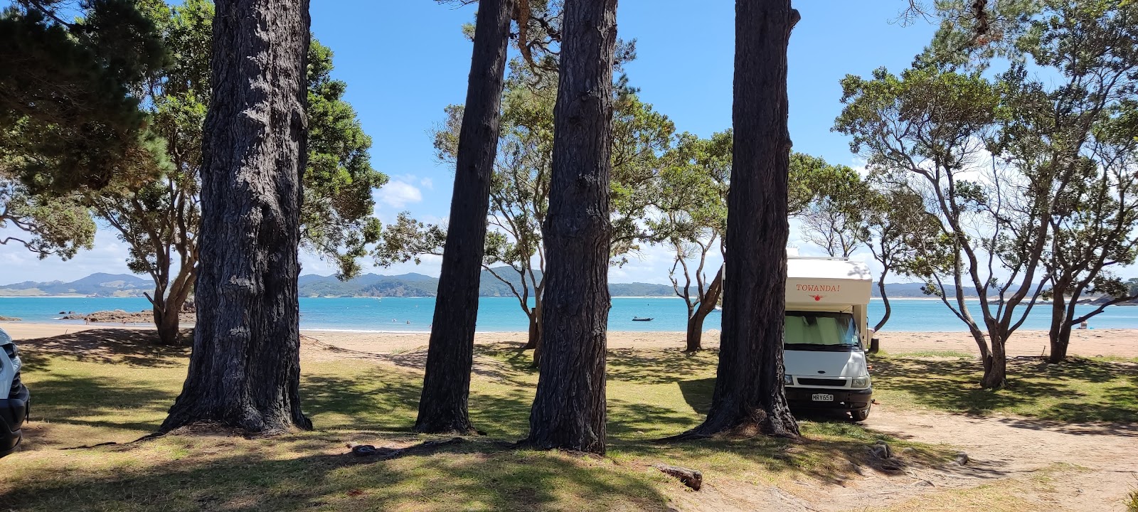 Φωτογραφία του Wellingtons Bay Beach με επίπεδο καθαριότητας πολύ καθαρό