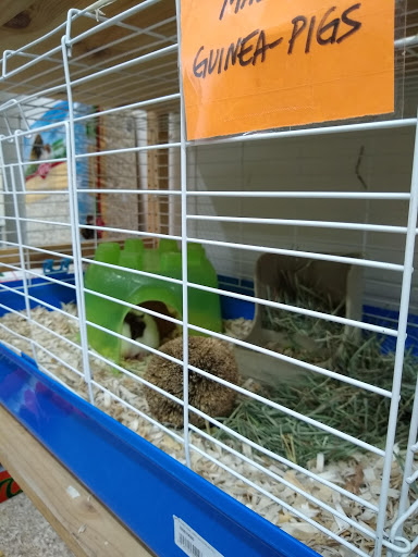 Pet Store «Fin-N-Feather», reviews and photos, 2931 F St, Eureka, CA 95501, USA