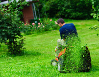 Geoffrey's Quality Lawn Care - Lawn Mowing Hewitt TX, Landscaping Contractor, Yard Maintenance Services, Leaf Cleanup - Photo 8 - Car repair in , Waco