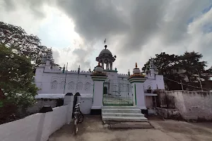 Shahi Jama Masjid image