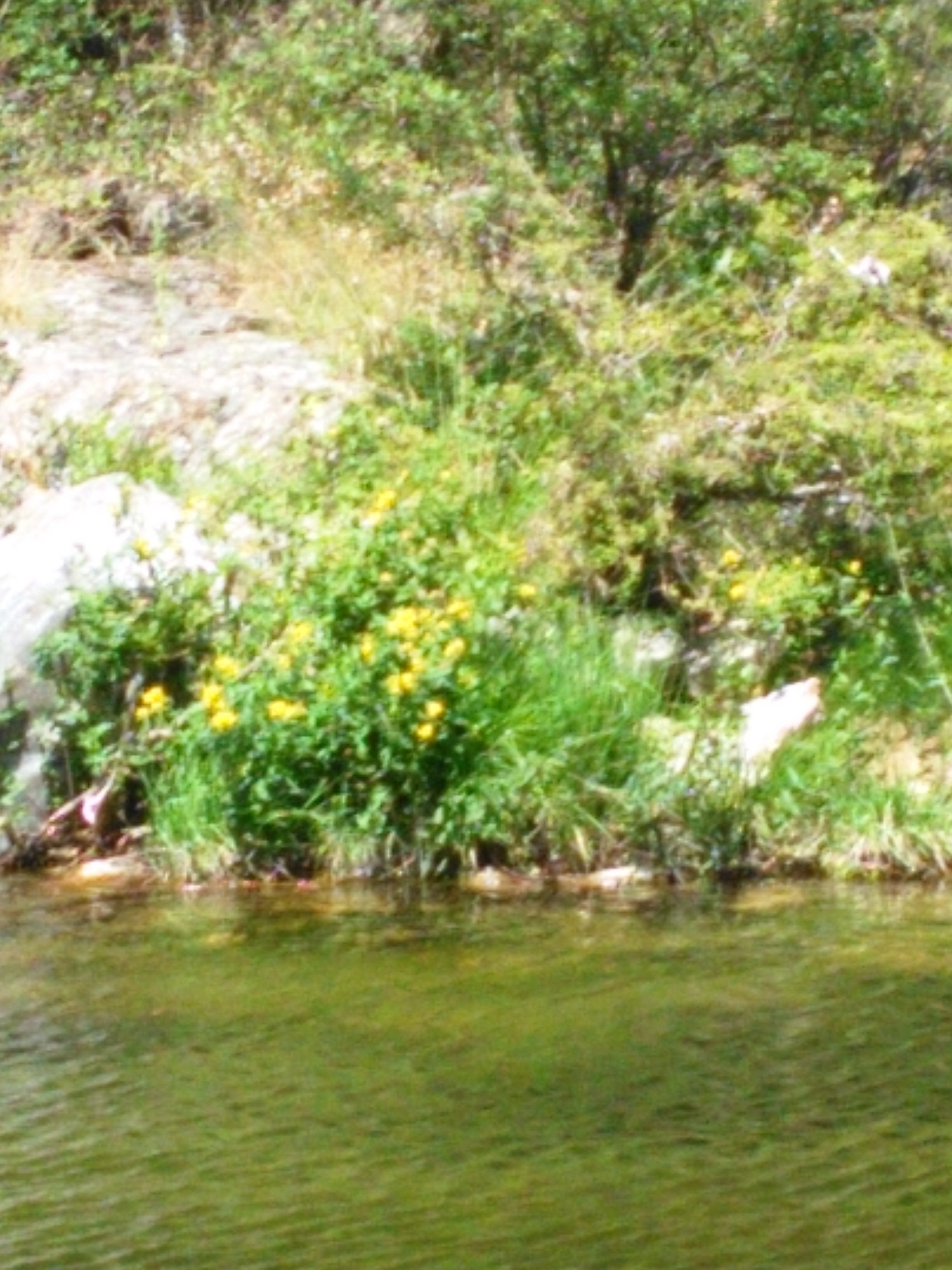 Photo n° 2 de l'avis de Bénédicte.u fait le 12/08/2018 à 07:36