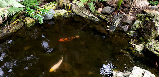 Funeral Home «Sacramento Memorial Lawn», reviews and photos, 6100 Stockton Blvd, Sacramento, CA 95824, USA