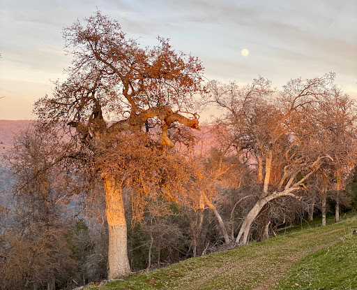 Shopping Mall «Union Square, San Francisco», reviews and photos, 333 Post St, San Francisco, CA 94108, USA