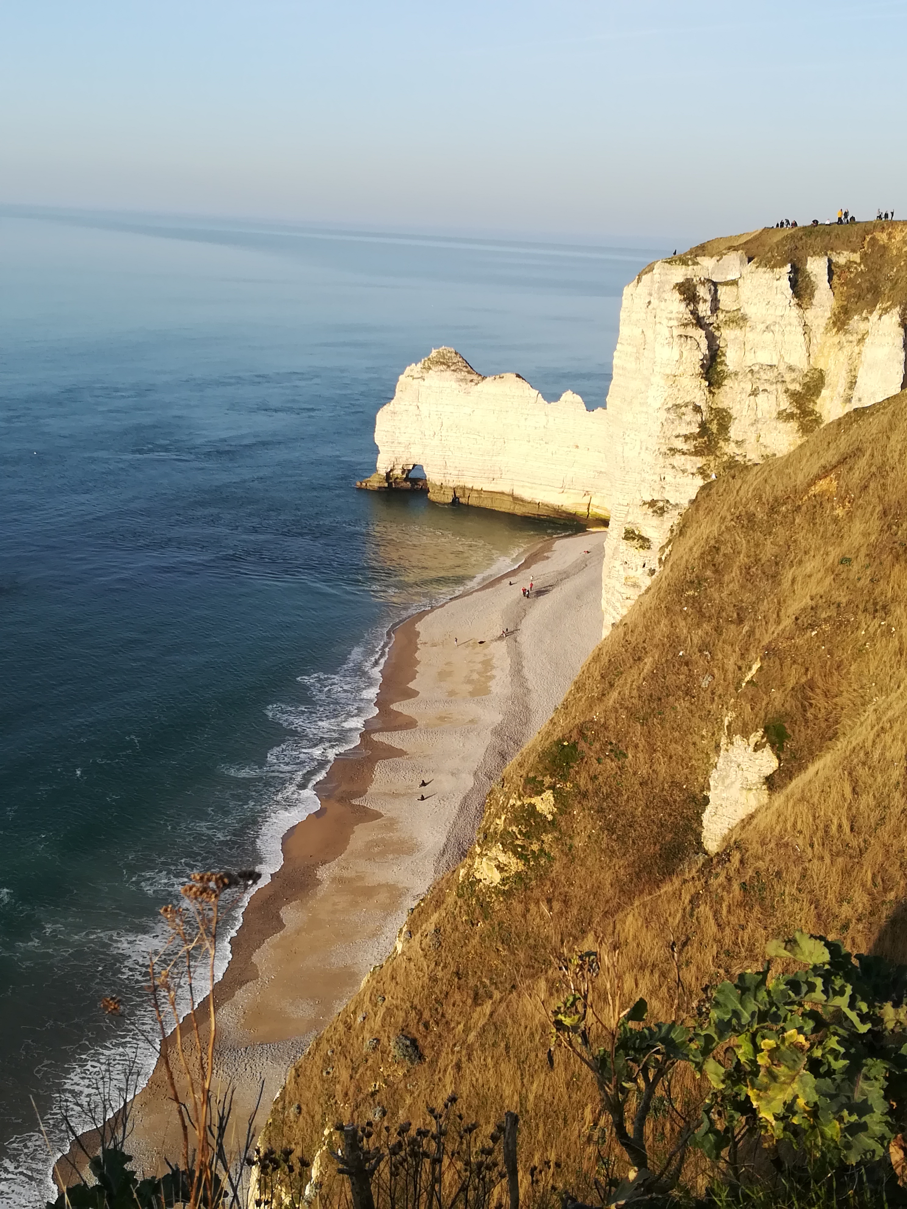 Photo n° 2 de l'avis de NATIVEL.A fait le 17/02/2019 à 19:48