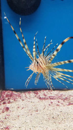 Pet Store «Pet Goods», reviews and photos, 1125 Central Park Ave, Scarsdale, NY 10583, USA