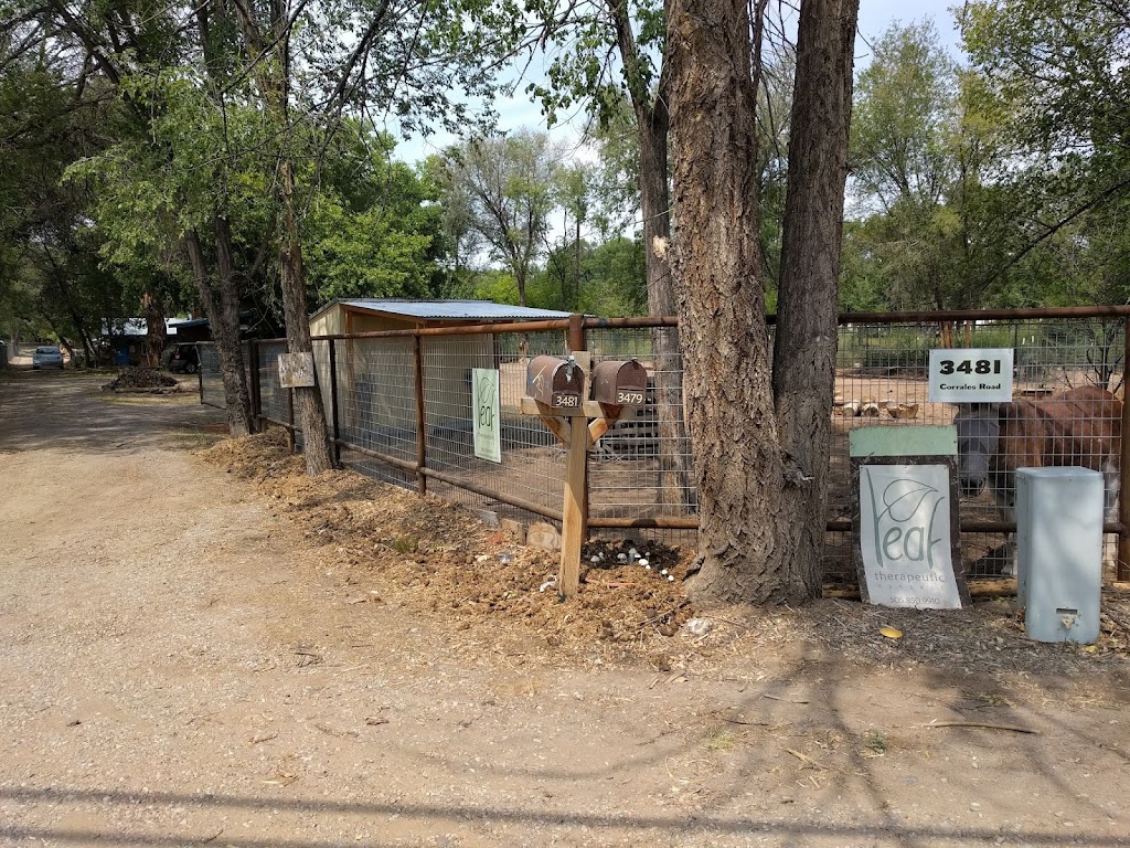 Leaf Therapeutic Massage 87048