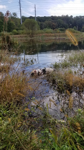 Park «Eisenhower Park», reviews and photos, 780 North St, Milford, CT 06461, USA