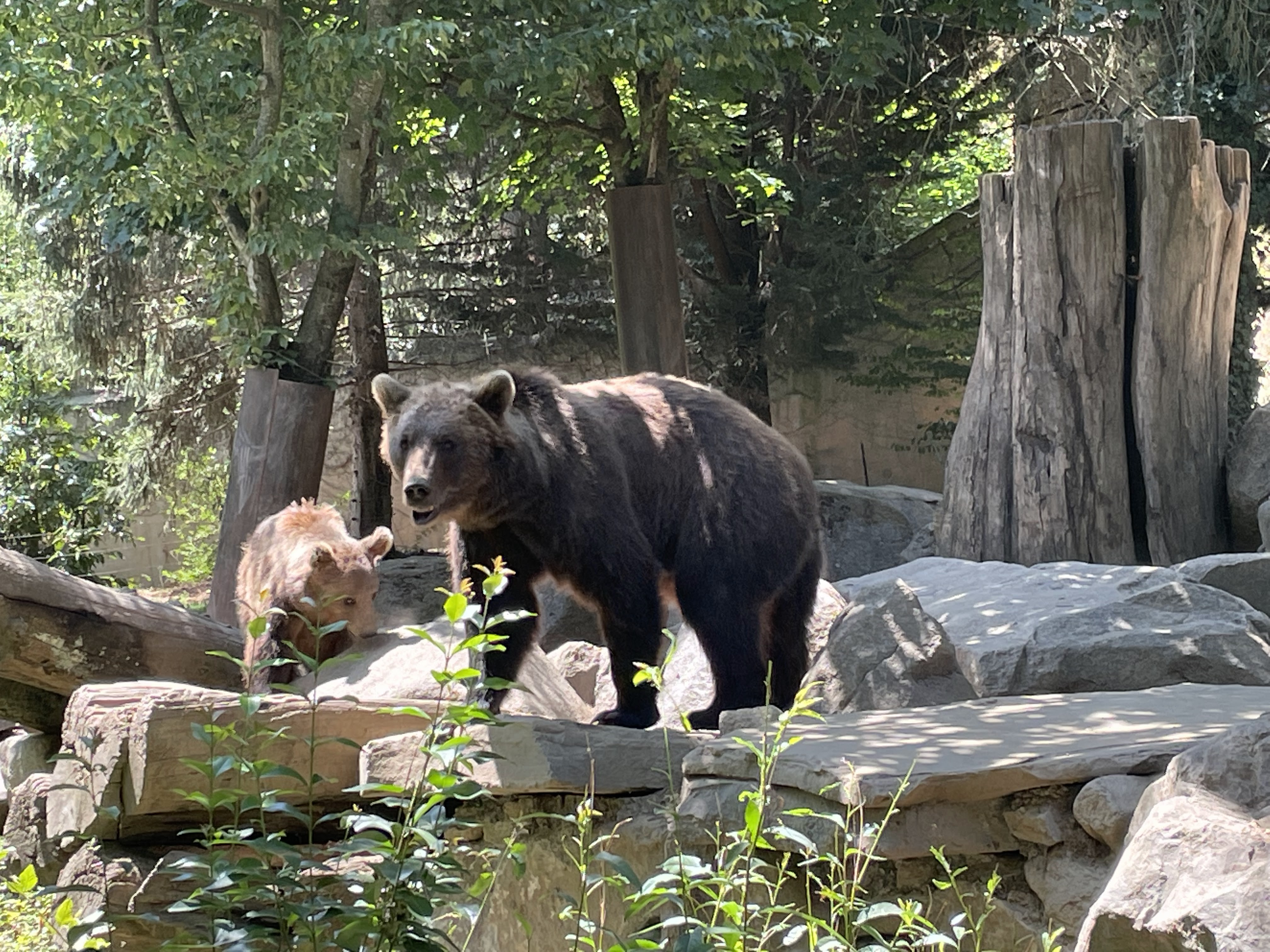 Photo n° 37 de l'avis de Gregory.G fait le 01/08/2022 à 10:31