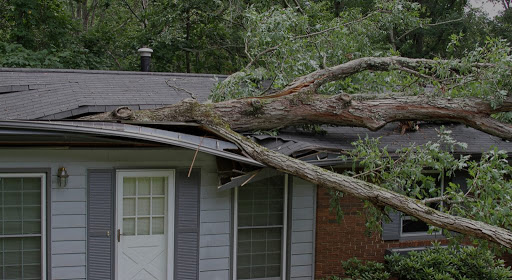 Big Bear Roofing in Raleigh, North Carolina