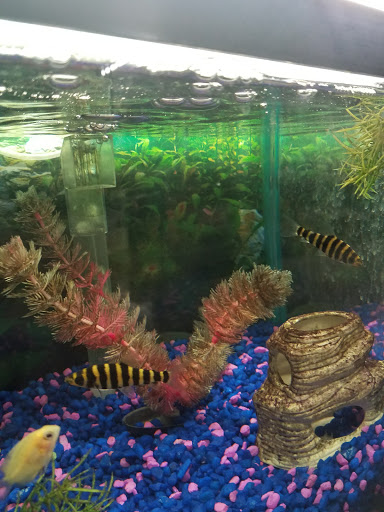 Pet Supply Store «Classic Pet Supply II», reviews and photos, 3180 Gratiot Blvd, Marysville, MI 48040, USA