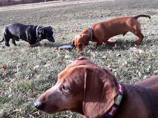 Zoo «Pueblo Zoo», reviews and photos, 3455 Nuckolls Ave, Pueblo, CO 81005, USA