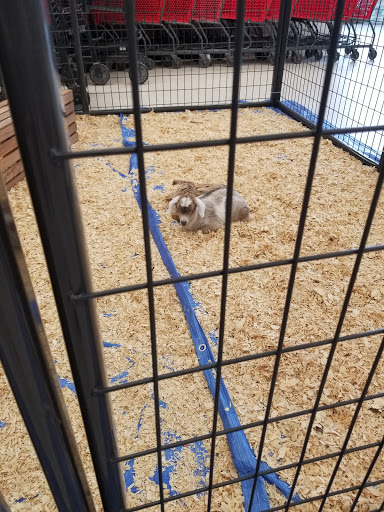 Animal Feed Store «FELDMANS Farm & Home», reviews and photos, 1332 W Kansas St, Liberty, MO 64068, USA