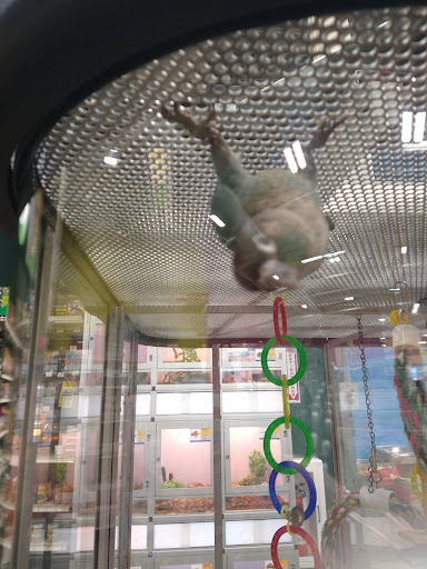 Pet Supply Store «Pet Supermarket, Inc.», reviews and photos, 244 Tunnel Rd, Asheville, NC 28805, USA