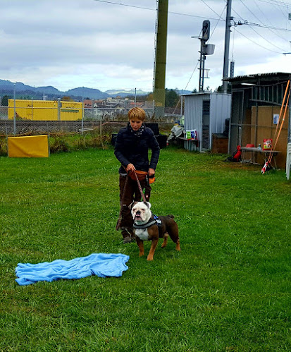 Rezensionen über Paws & Feet Hundeschule & Hundepension in Thun - Hundeschule