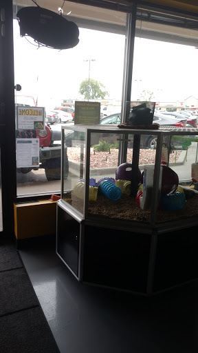 Pet Store «Parker Exotic Pets», reviews and photos, 17880 Cottonwood Dr, Parker, CO 80134, USA
