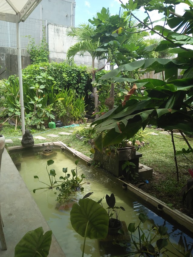 Villa Asmara - Kuta Selatan