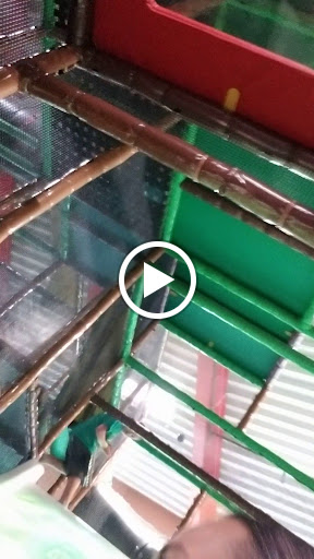 Playground «Eagles Nest Indoor Playground», reviews and photos, 400 10th St NW, New Brighton, MN 55112, USA