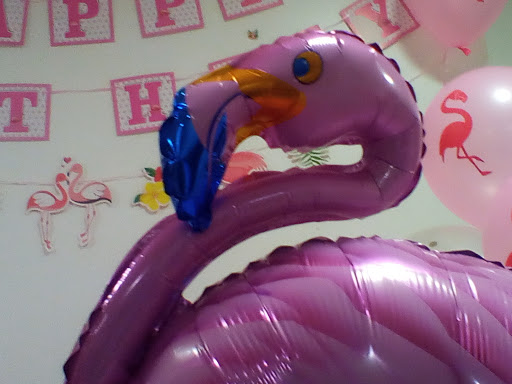 Day Care Center «Audrey Johnson Day Care Center», reviews and photos, 272 Moffat St, Brooklyn, NY 11207, USA