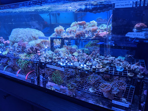 Pet Store «Forest Lake Pets», reviews and photos, 120 Lake St N, Forest Lake, MN 55025, USA