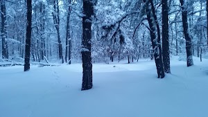 Jamesburg Park - photo 30