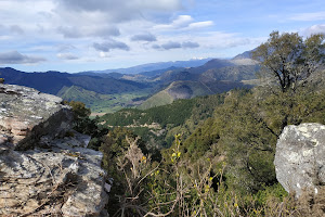 Mt Takorika, Escarpment Loop