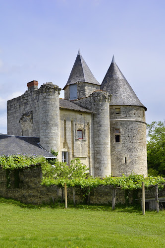 château du Chillou à Jaulnay