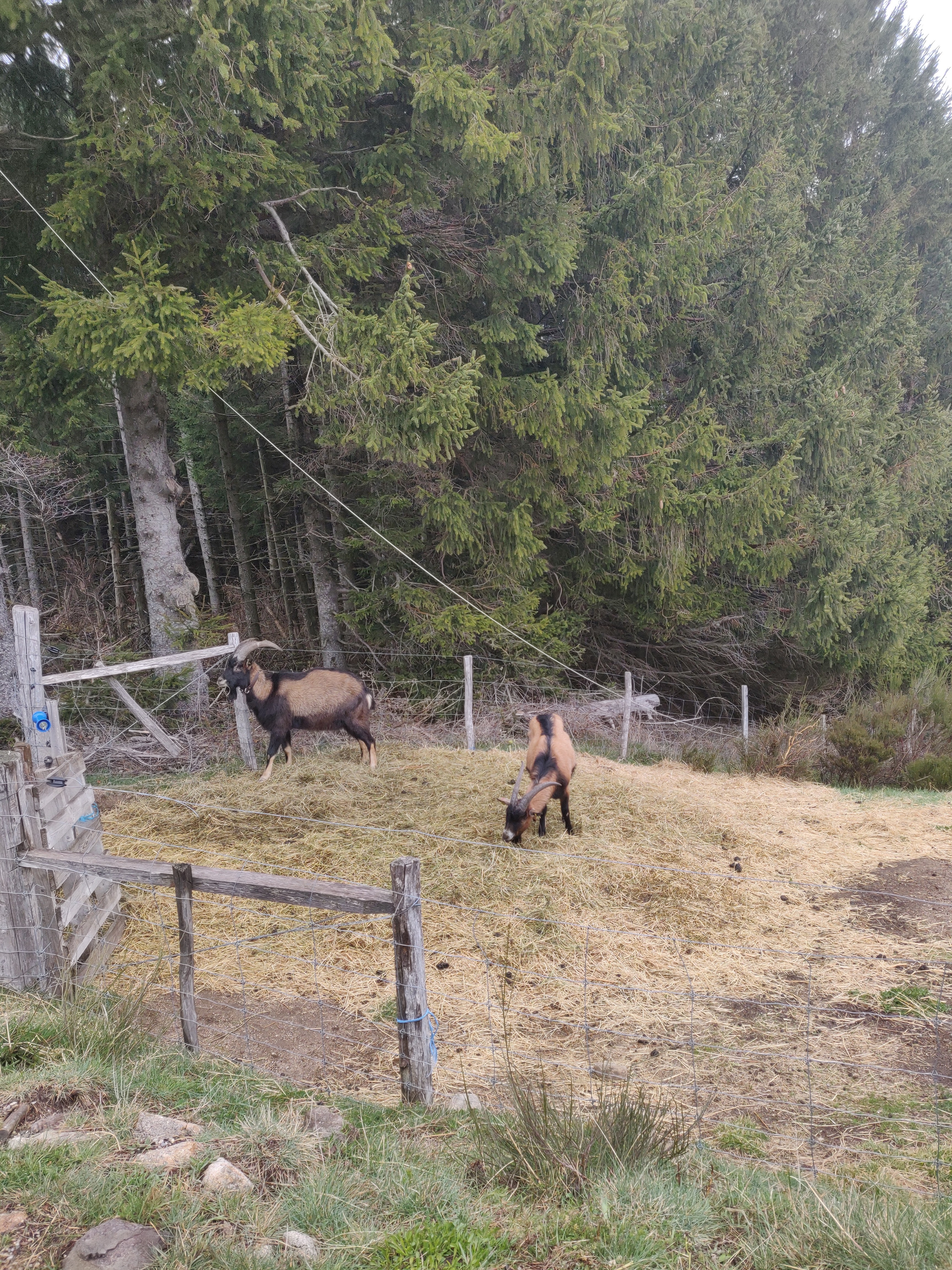 Photo n° 2 de l'avis de Silvia.n fait le 18/04/2019 à 07:45